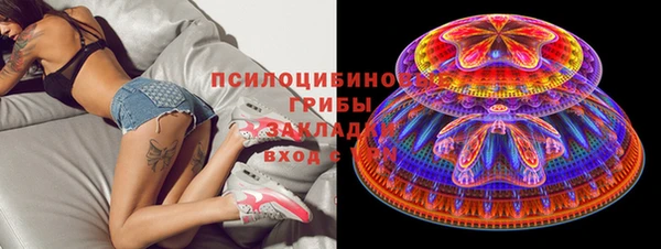 PSILOCYBIN Вязники