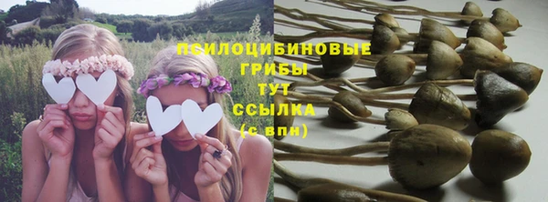 соль курить ск Вязьма