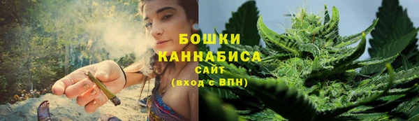 PSILOCYBIN Вязники